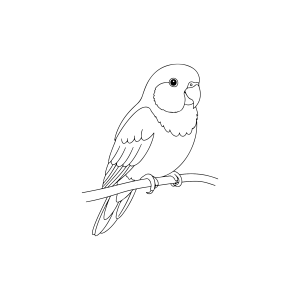 Arara pousada no galho fino para colorir