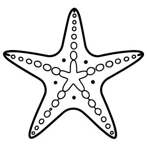 Arte de Colorir: Estrela do Mar Encantada