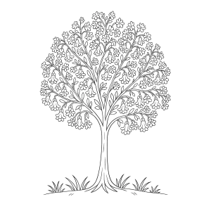 Árvore frondosa no campo para colorir
