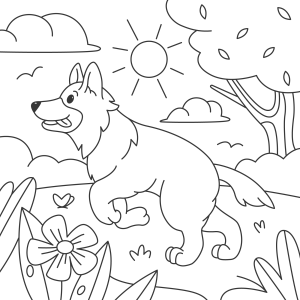 Aventura Canina ao Sol