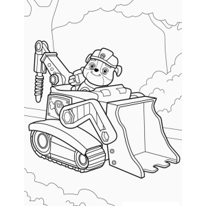 Aventura Canina com o Robô Rubble!