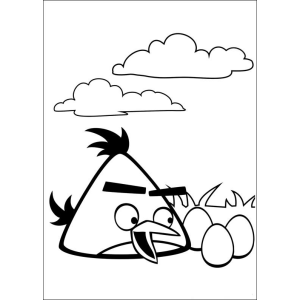 Aventura Colorida com Angry Birds