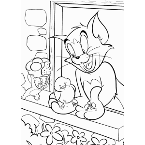 Aventura Colorida com Tom e Jerry