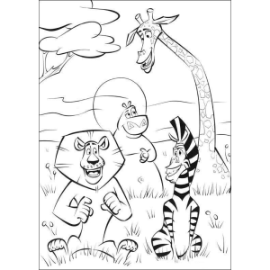 Aventura Colorida com os Amigos de Madagascar
