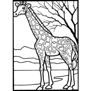 Aventura de Colorir com Girafas