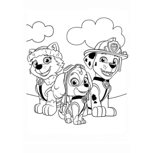 Aventura com a Patrulha Canina
