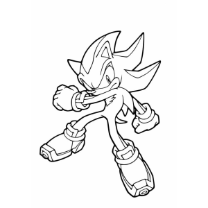 Aventura com Shadow the Hedgehog