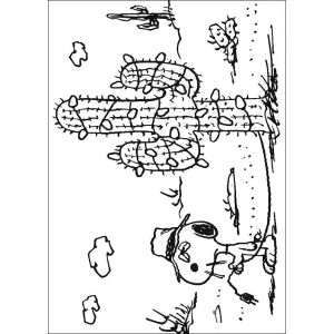 Aventura no Deserto com Snoopy