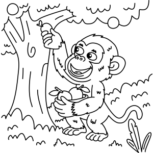Aventura do Macaco Colhedor