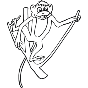 Aventura do Macaco no Galho