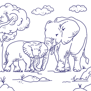 Aventura Elefante em Família