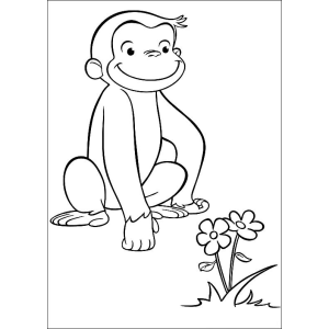 Aventura de George, o Curioso no Jardim
