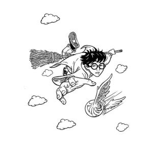Aventure-se com Harry no Jogo de Quadribol