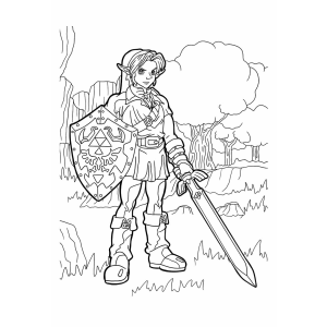 Aventura de Link em Hyrule