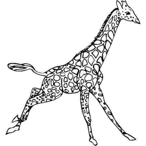 Aventura das Manchas: A Corrida da Girafa
