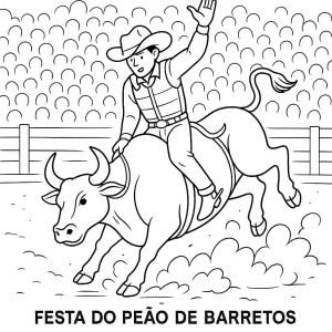 Aventura na Festa do Peão de Barretos