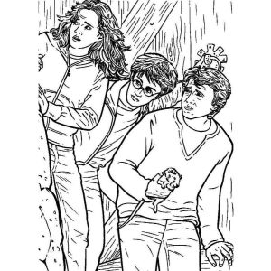 Aventura no Beiral de Hogwarts
