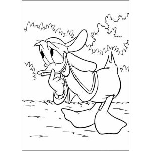 Divertida Aventura com o Pato mais Famoso da Disney
