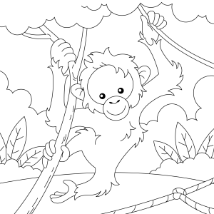 Aventura na Selva: Macaco Brincalhão