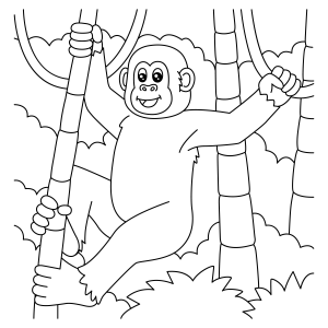 Aventura na Selva dos Macacos