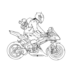 Aventura Sobre Duas Rodas