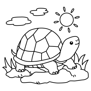 Aventura da Tartaruga ao Sol
