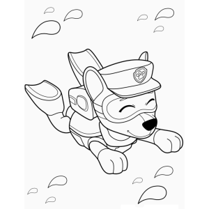 Aventuras Aquáticas com a Patrulha Canina