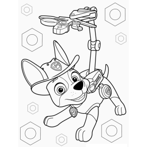 Aventuras com o Patrulheiro Canino