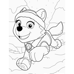 Aventuras de Everest na Neve!