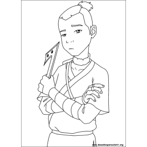 Aventuras de Sokka: O Guerreiro da Tribo da Água