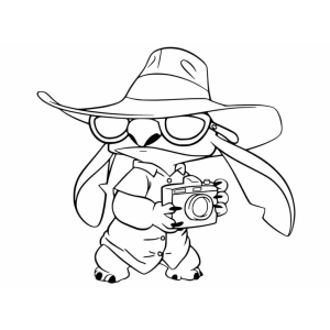 Aventuras de Stitch como Fotógrafo