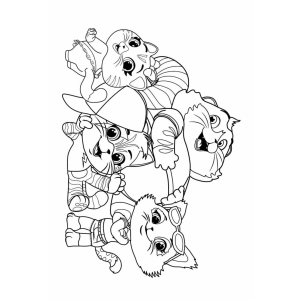 Aventuras Divertidas com os 44 Gatos