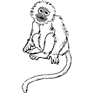 Aventuras do Macaco Curioso