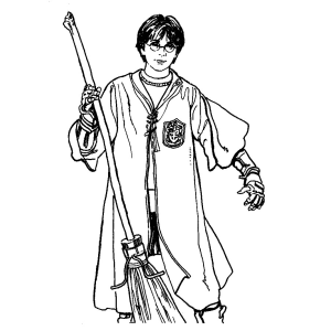 Aventuras em Quadribol com o Jovem Bruxo