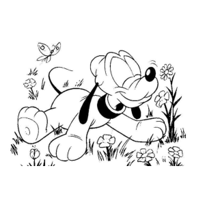 Aventuras Floridas com o Amigável Pluto