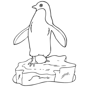Aventuras Geladas de um Pinguim