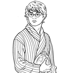 Aventuras de Harry com o Ovo Dourado