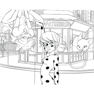Aventuras Heroicas de Ladybug e Cat Noir