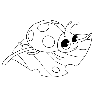 Aventuras de uma Joaninha Encantadora