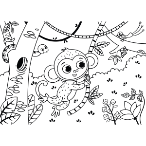Aventuras de Macaquinho na Floresta