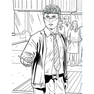 Aventuras Mágicas com Harry e Seus Amigos