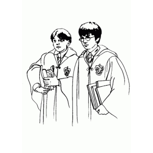 Aventuras Mágicas com Jovens Bruxos