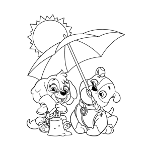 Aventuras na Praia com a Patrulha Canina