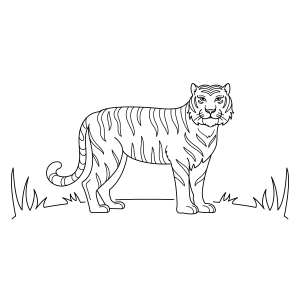 Aventure-se com o Tigre Majestoso