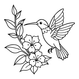 Beleza do Beija-flor