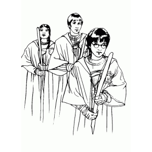 Os Campeões de Quadribol de Hogwarts
