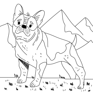 Cão Aventureiro nos Alpes