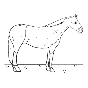 Cavalo Majestoso: Uma Cena para Colorir