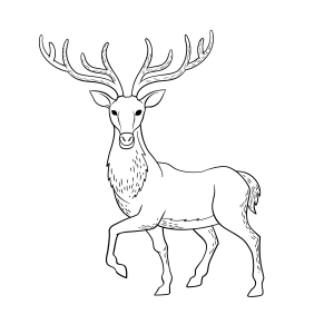 Cervo Majestoso para Colorir