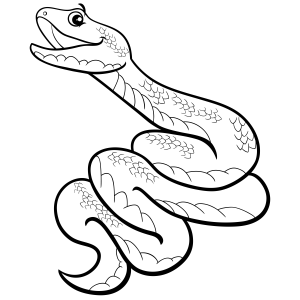 Uma Cobra Encantadora